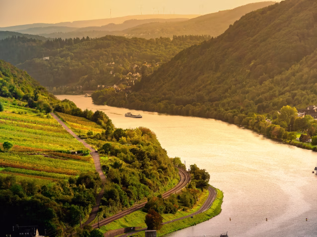 Blick auf die Mosel vom Weinhang Nähe Neef, Mosel, Deutschland 2023