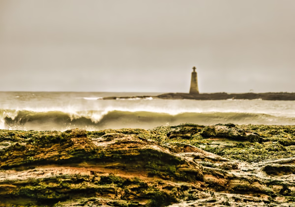 Schottland 2025 Schottland 2025 Schottlands Osten Schottland ist immer eine Reise wert und Schottlands Osten hat viel zu bieten: Alte...